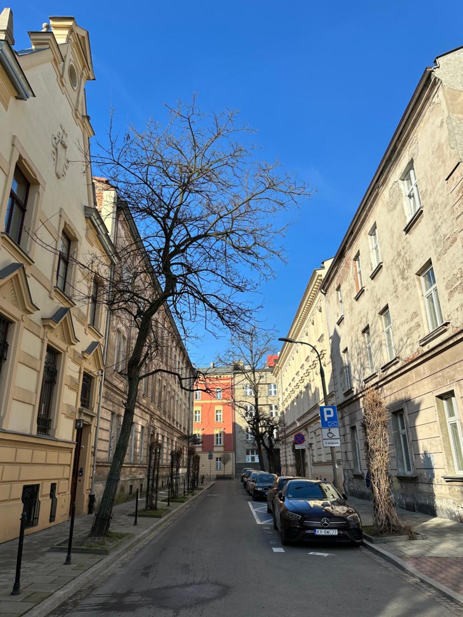 Perfect Place To Stay In Krakow City Center 28M2 W1 Eksteriør billede